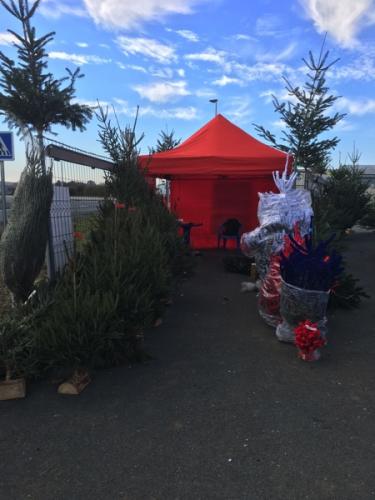 vente sapin de noel 9